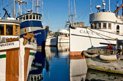 Commercial moorage in Port Townsend